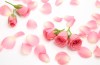 Bellezza: ecco i 7 benefici delle rose