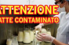 Latte contaminato: bloccati 30 mila litri contenenti micotossine