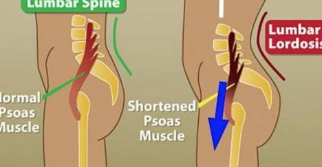 SE SI RILASSA QUESTO MUSCOLO DETTO “DELL’ANIMA” SPARIRANNO STRESS E ANSIA. SCOPRI COME SI FA, BASTA UN SECONDO!